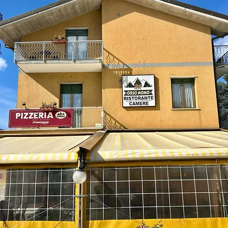 Orso Momo-3